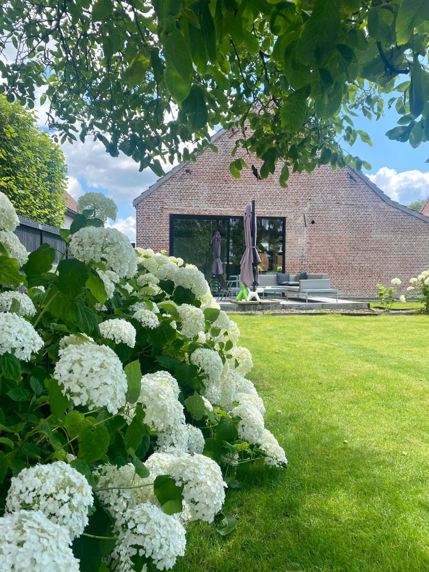 Hoeve De Kleinheide ديسل المظهر الخارجي الصورة