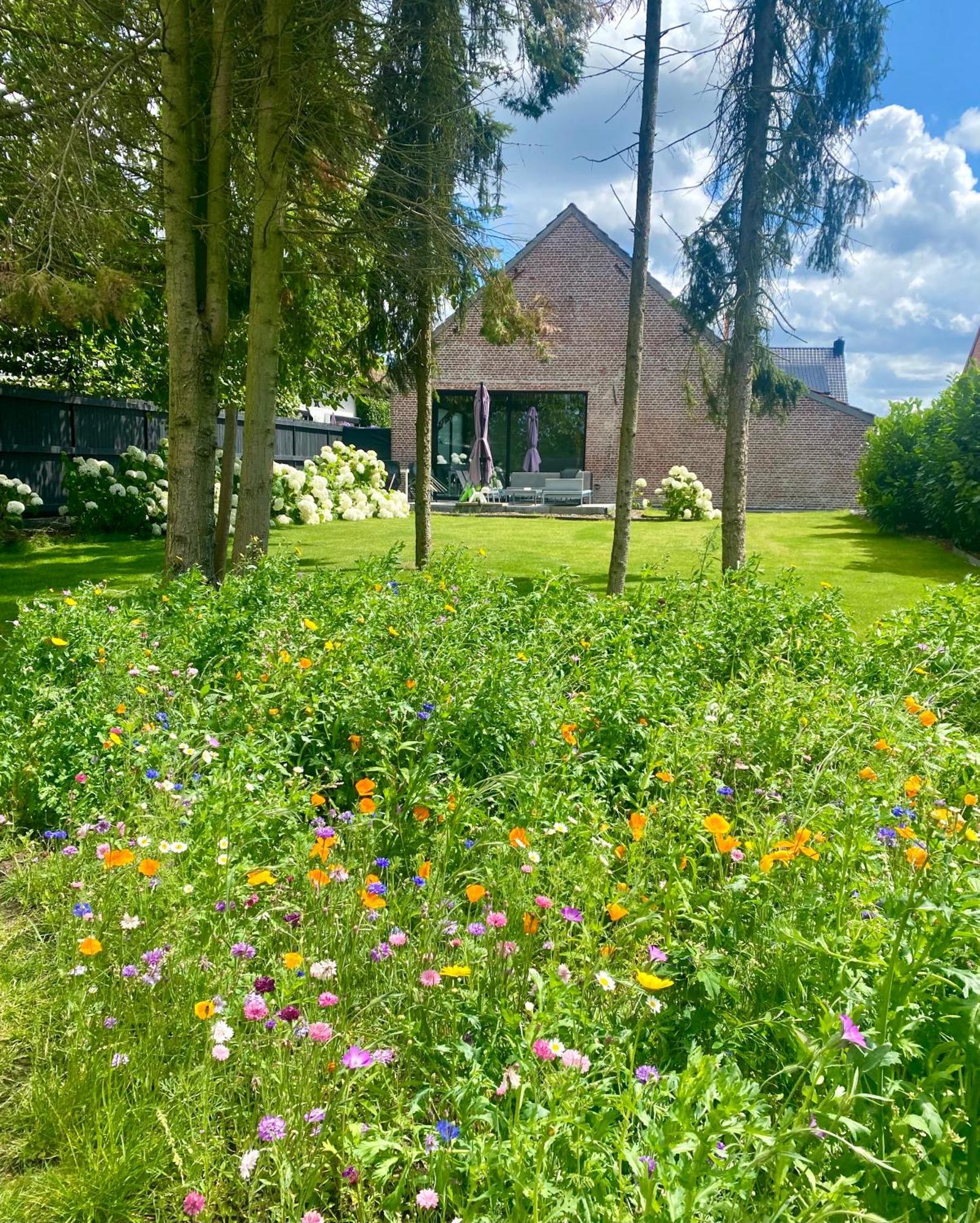 Hoeve De Kleinheide ديسل المظهر الخارجي الصورة