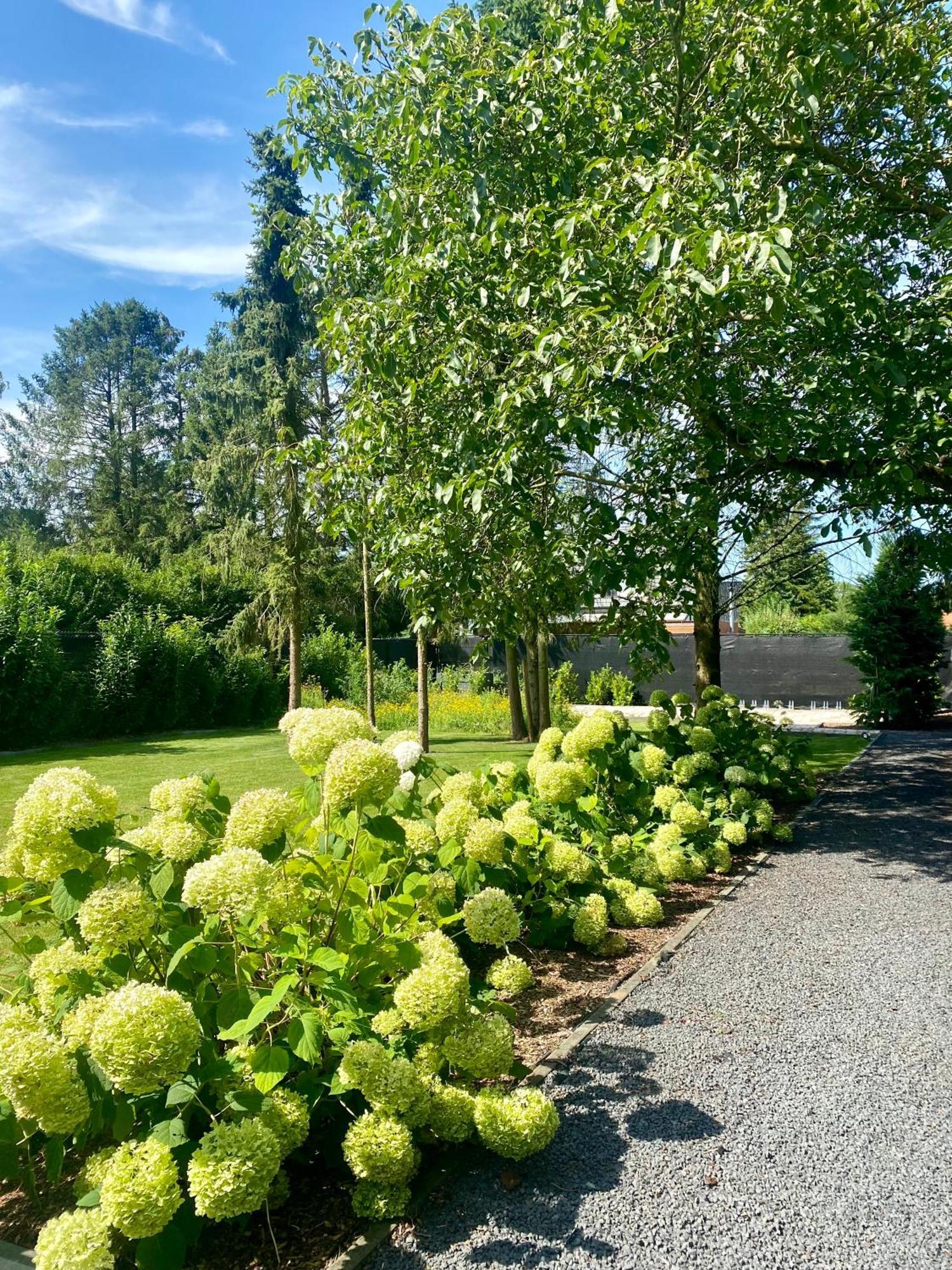 Hoeve De Kleinheide ديسل المظهر الخارجي الصورة